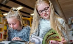 Smærri flokkar og meira tíð til einstaka næmingin